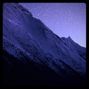 Meet your Posher, Maya